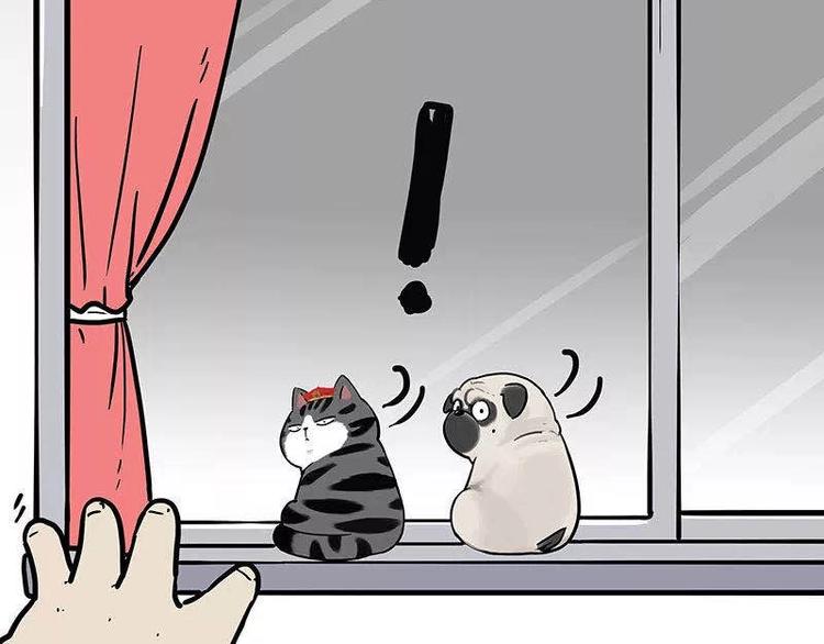 第191话 猫猫无证看孩子？！80