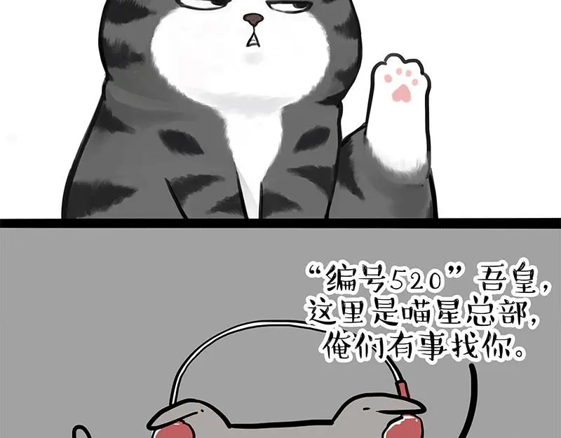 第326话 学好航天，接喵回家4