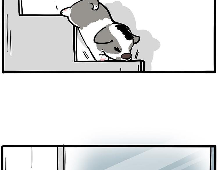 第270话 胖老猫你个大骗子！11