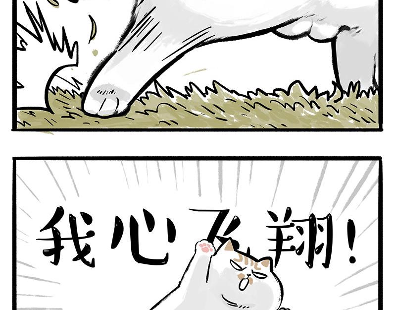 第331话 猫王争霸之“杀青”23