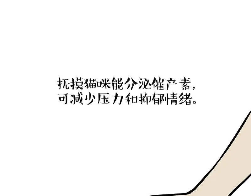 第333话 养啥好？0