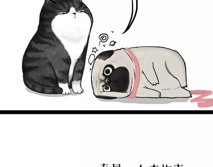 第106话 遛弯10