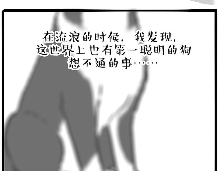 第207话 巴扎黑丢了？！57
