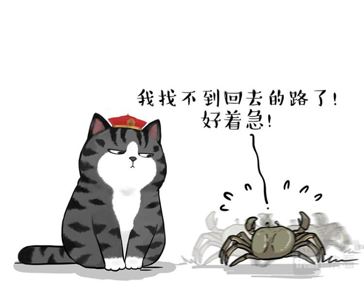 第286话 动物世界41