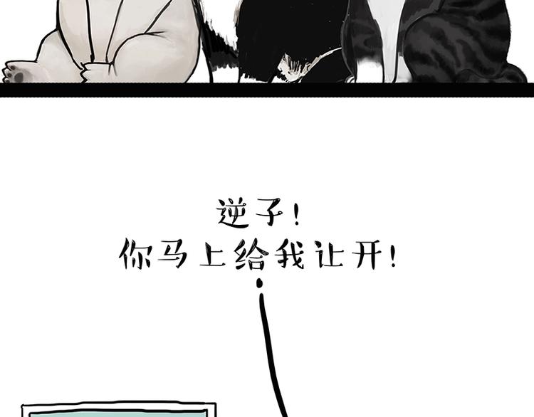第162话 喵星人选美大赛45
