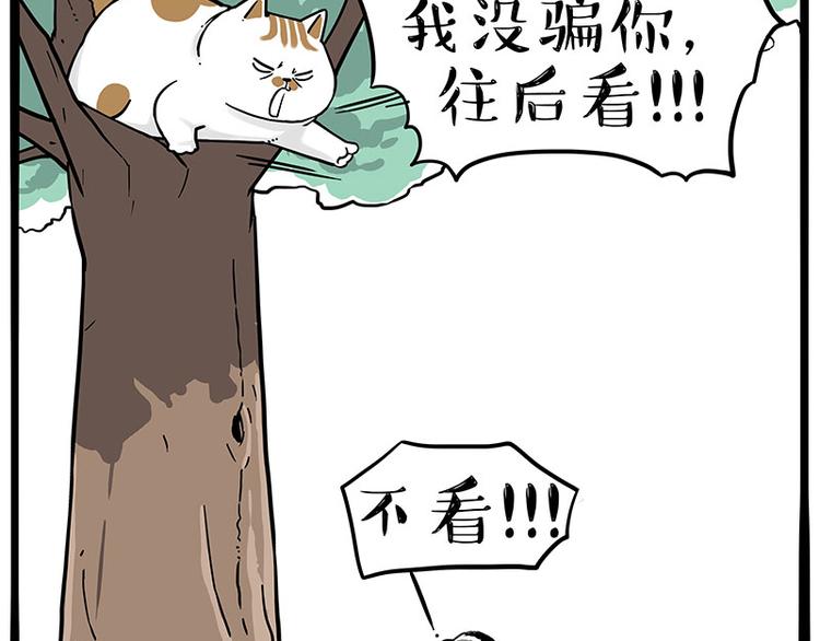 第271话 进击的流浪猫！3
