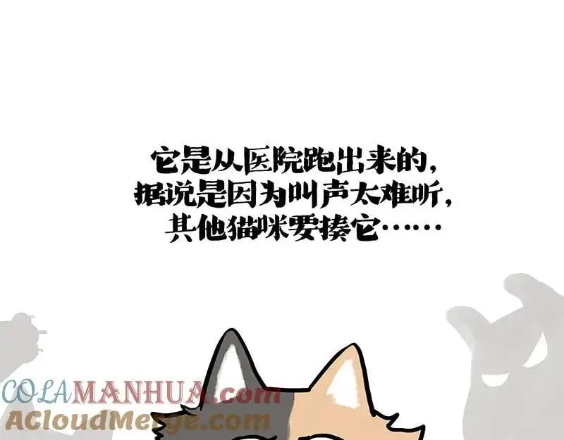 第404话 寻家计划1：啸天64