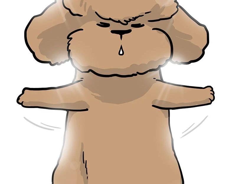 第365话 “神犬”巴扎黑71