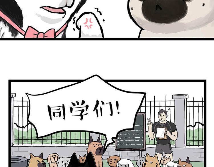 第280话 狗上学53
