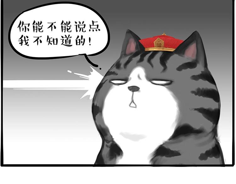 第197话 猫怼狗24