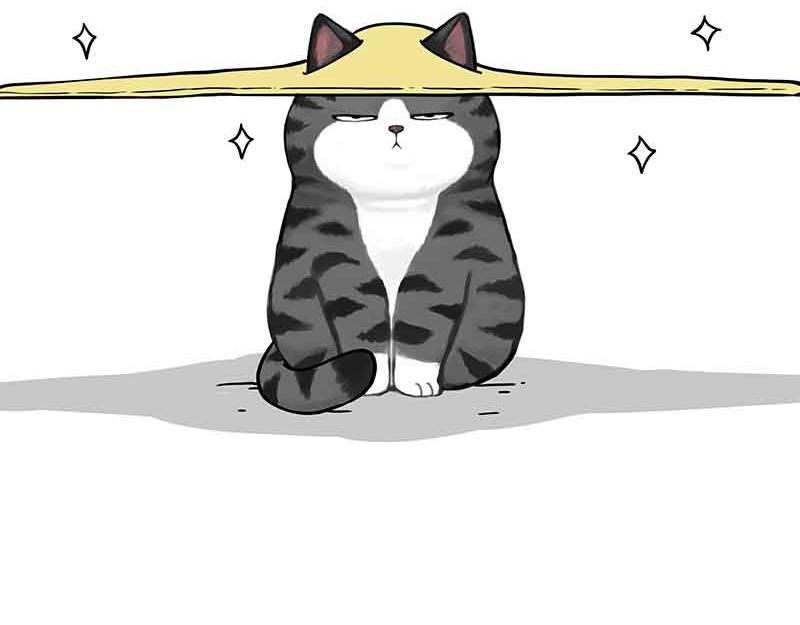 第359话 猫洛芬6