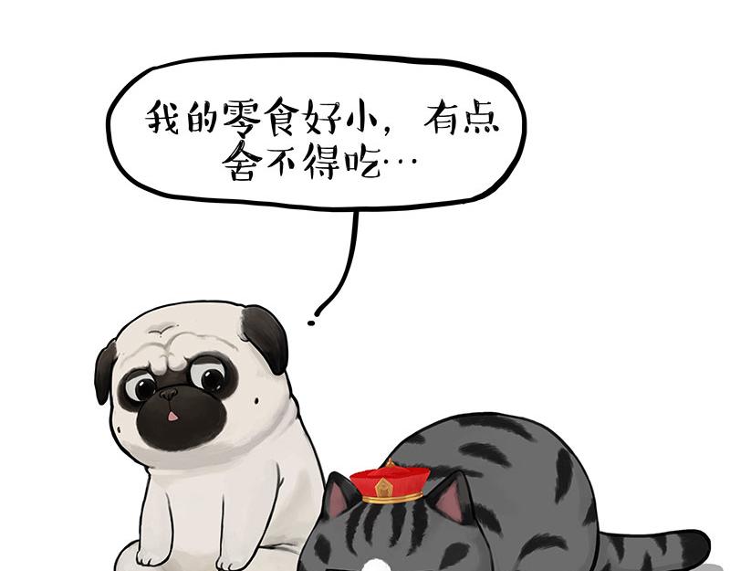 第344话 人生止痛剂2