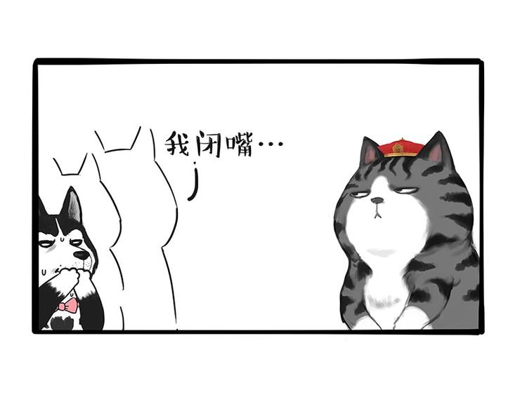 第197话 猫怼狗52