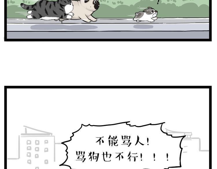 第267话 不让你流浪68