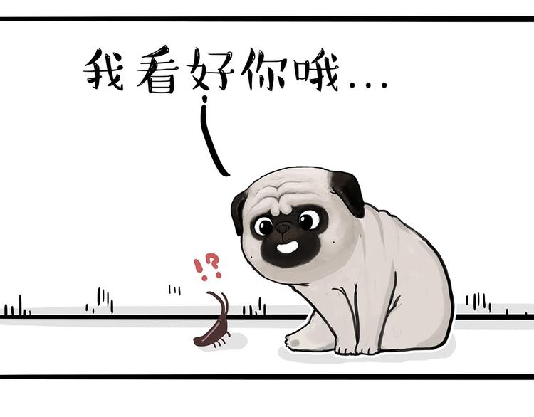 第181话 零食风波与蟑螂风波56