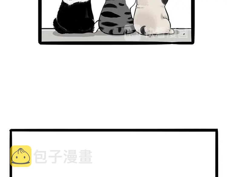 第187话 巴扎黑终究是错付了40