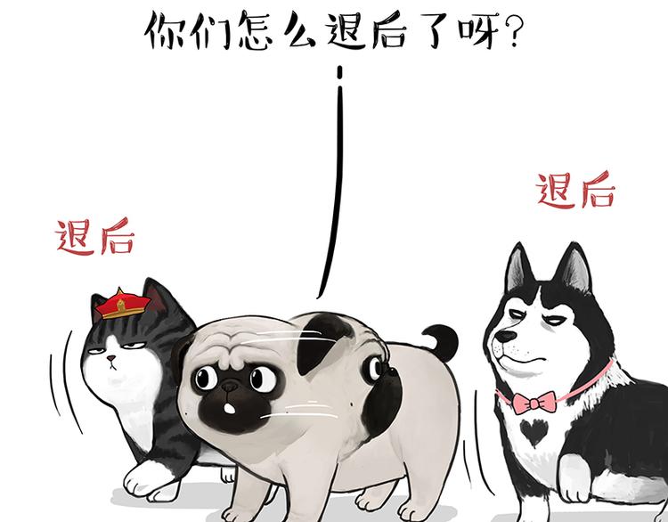 第150话 天下套路一般黑50