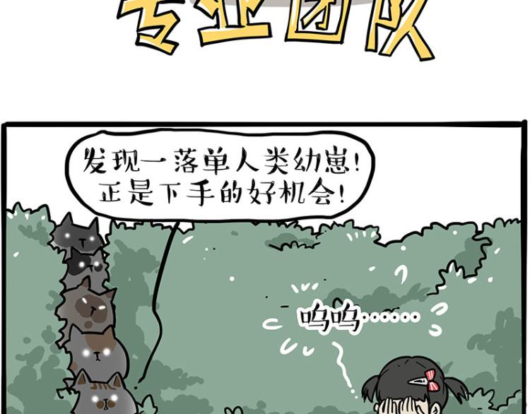 第290话 凶恶猫猫组织12