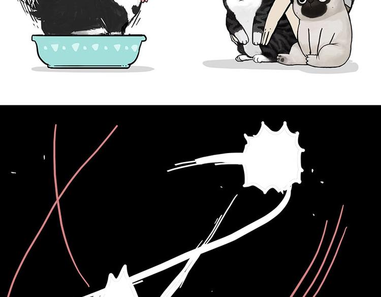 第160话 最差的一届哈士奇！53