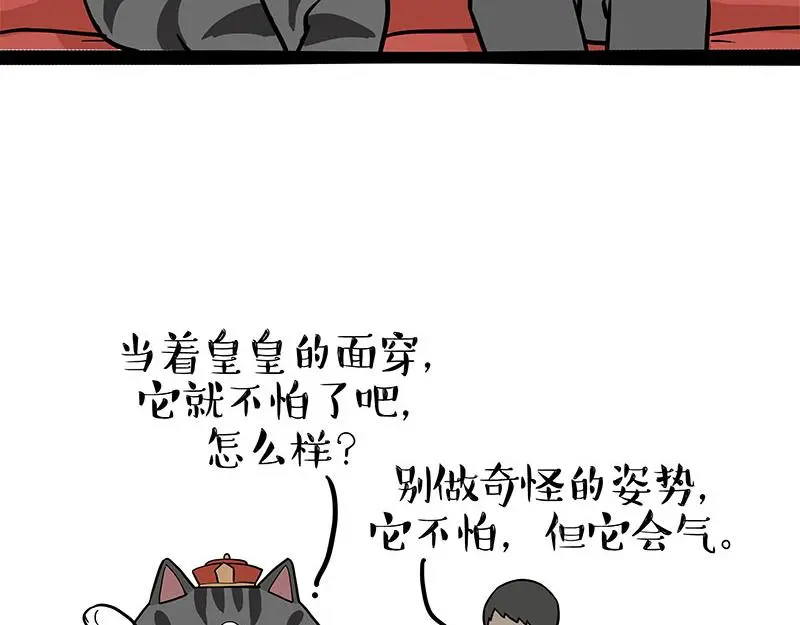 第325话 你不守猫德36