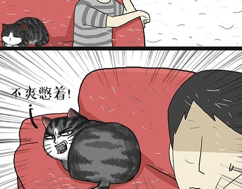 第27话 巴扎黑是宇宙来的王子8