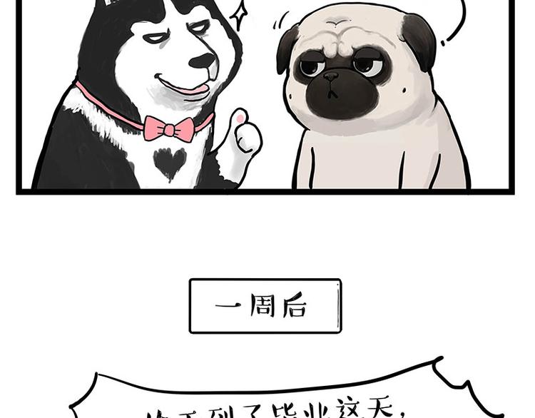 第280话 狗上学60