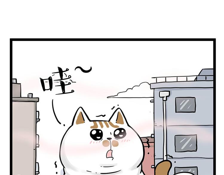 第284话 美喵竟是我自己14