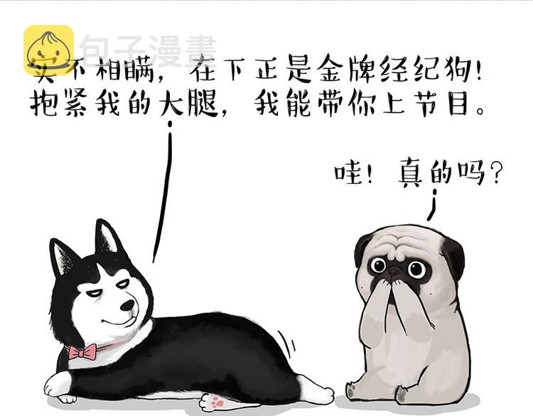第230话 巴扎黑进娱乐圈？3