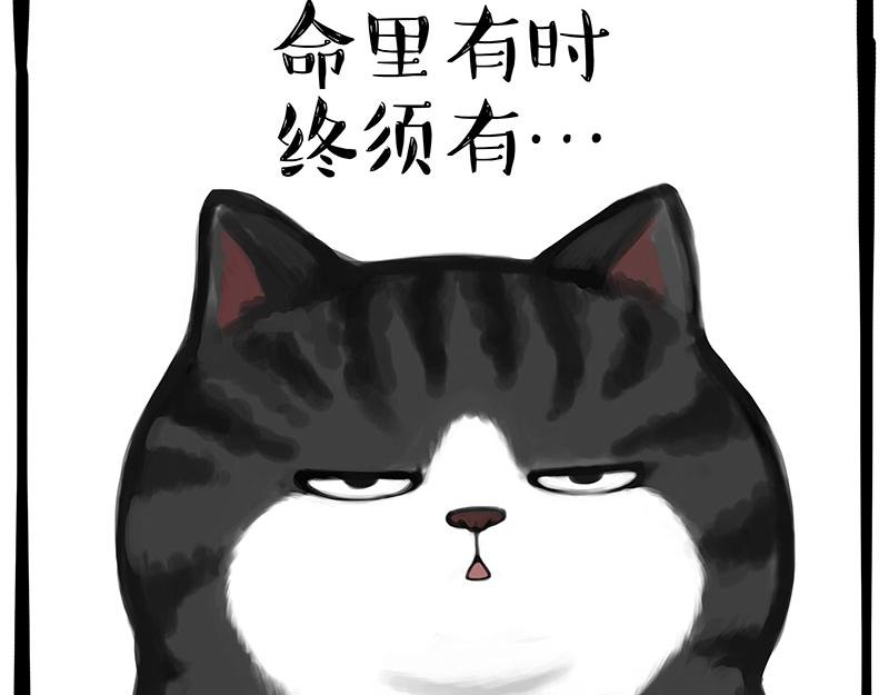 第349话 养只猫吧18