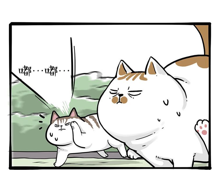 第271话 进击的流浪猫！41