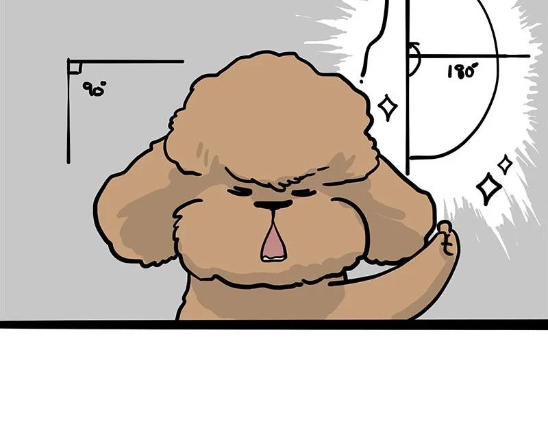 第365话 “神犬”巴扎黑50