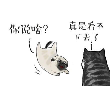 第23话 这是巴扎黑的专场！4