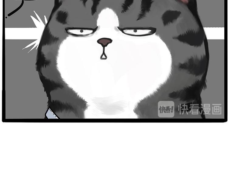 第231话 防骗指南11