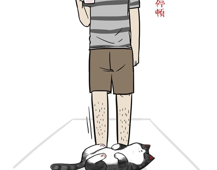第44话 日常坑狗，却猫前屈膝22
