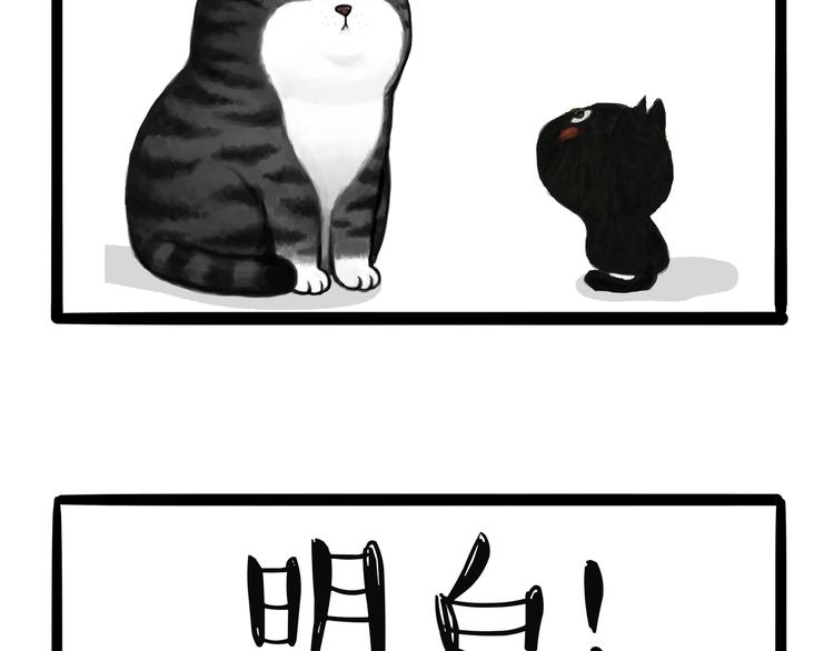 第124话 一只尊贵的喵8