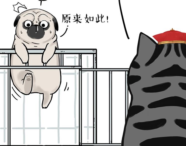 第176话 不要打扰我追求自由18