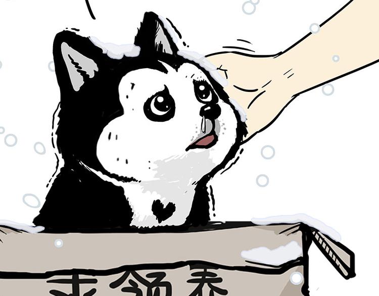 第126话 巴扎黑你什么都不懂62