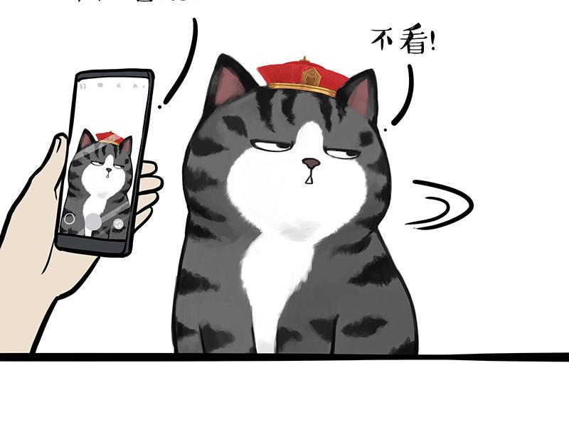 第337话 下辈子报仇25