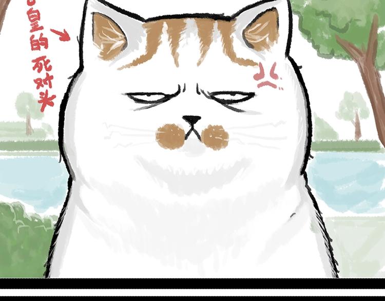 第158话 傲霸日常31