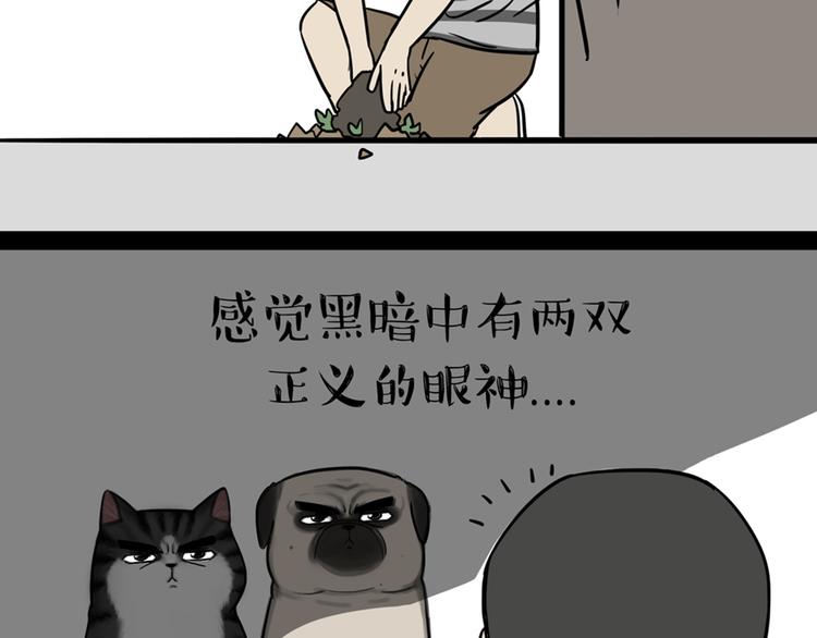 第41话 好气哦，人不如狗15