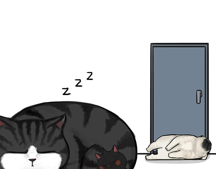 第51话 猫和狗的待遇就是不同25