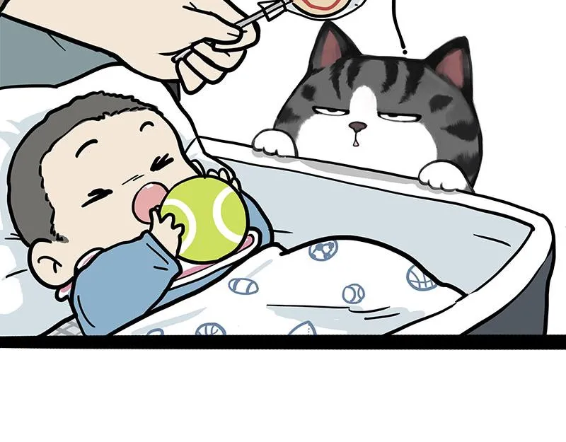 第377话 谢谢小猫咪6