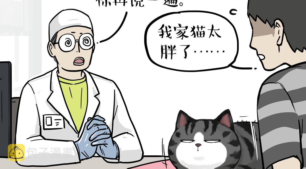 第358话 都是错觉29