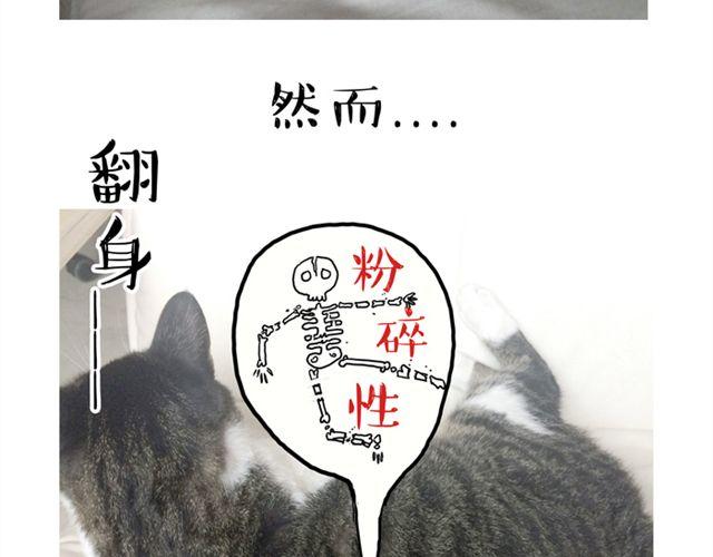 第14话 缩小后最容易遇见什么11