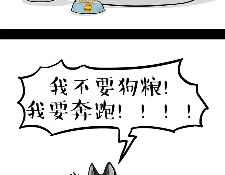 第160话 最差的一届哈士奇！20