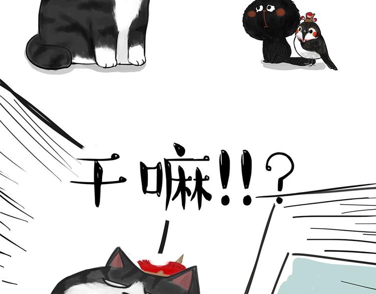 第53话 宠物的压力8