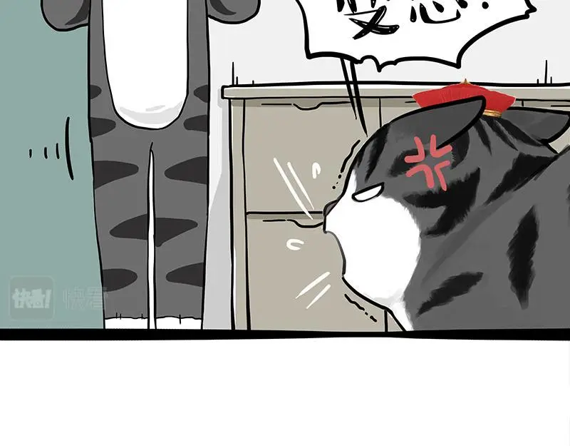 第325话 你不守猫德17