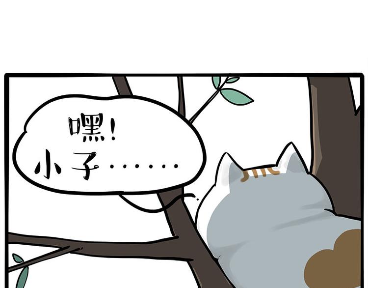 第270话 胖老猫你个大骗子！19
