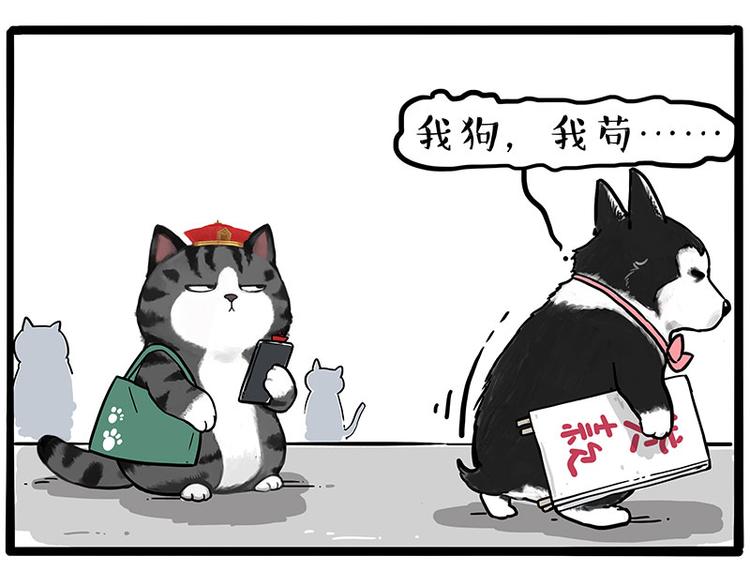 第231话 防骗指南51