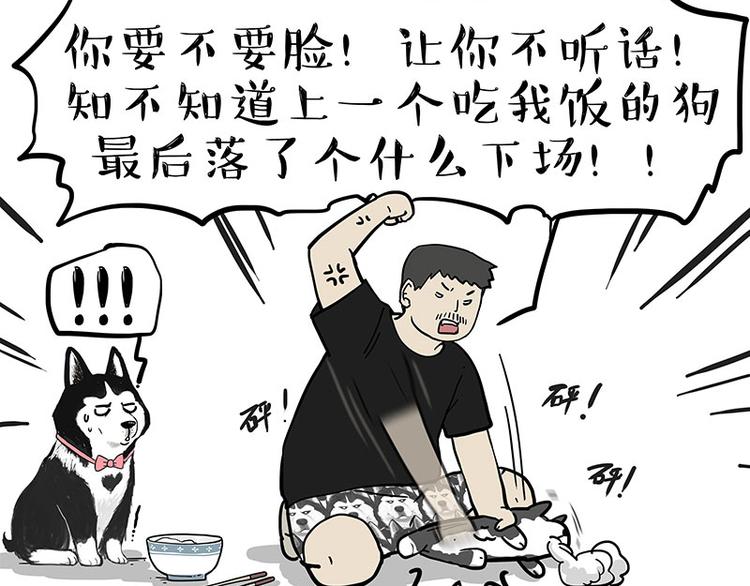 第253话 与狗争饭42